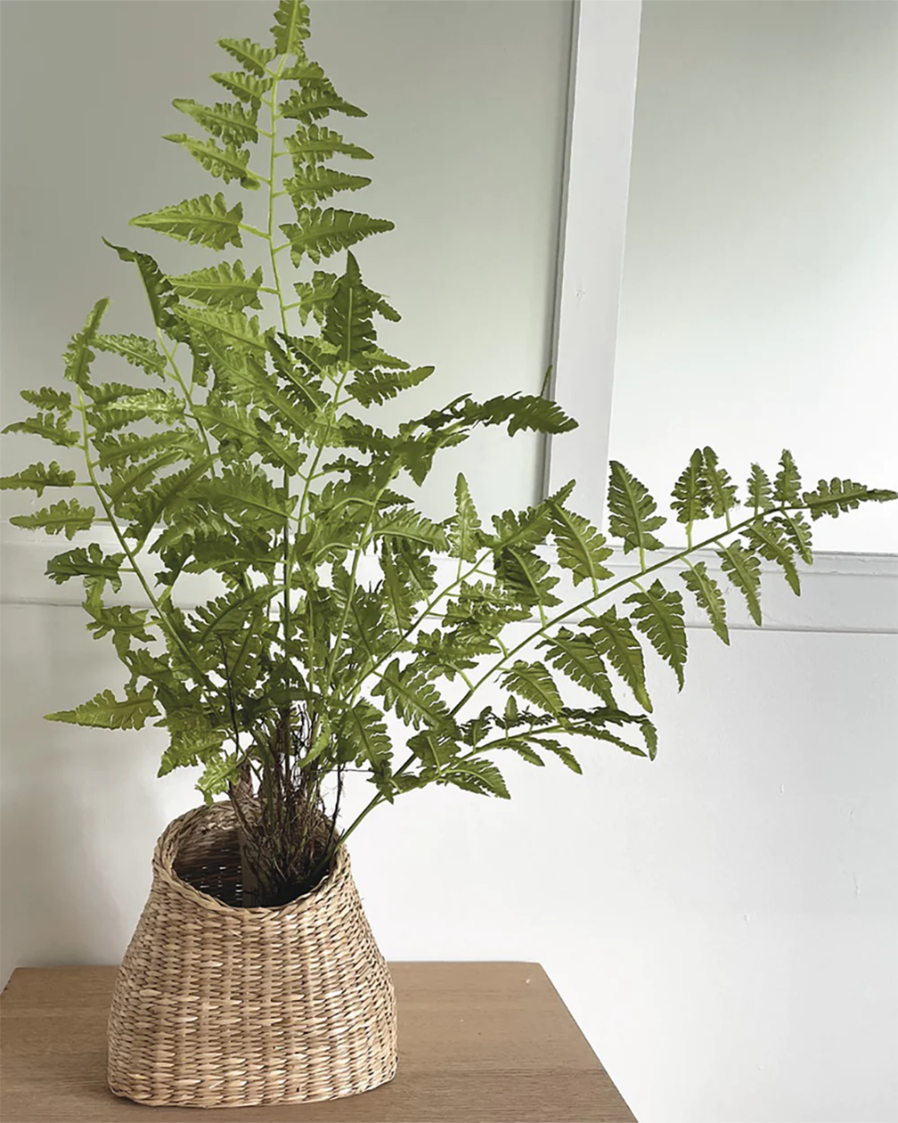FOUGERE KOKEDAMA PM ARTIFICIELLE